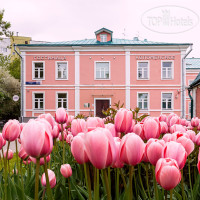 �������� �����