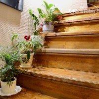 �������� �����