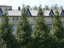 медиа файл