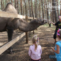 Парк-отель Русский Мини-зоопарк в Парке Дракино -