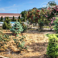 �������� �����