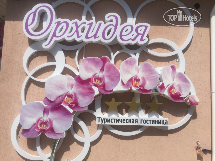 Фотографии отеля  Орхидея 
