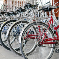 �������� �����