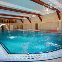 Бассейн  в Ареал Конгресс-отель 4*
