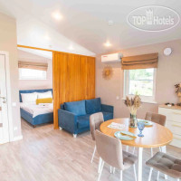 �������� �����