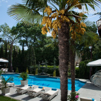 �������� �����