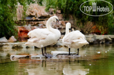 ПОРТО МАРЕ 4* - Фото отеля