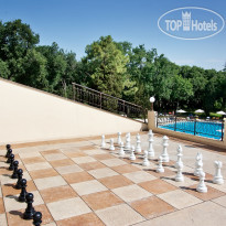 Dolphin giant chess at the terrace of 