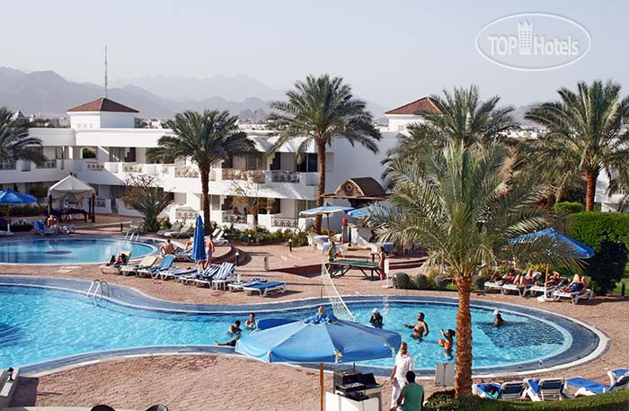 Фото Viva Sharm Hotel