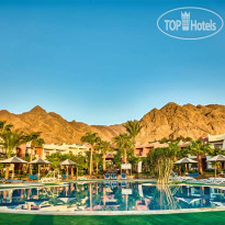 Главный бассейн в Tropitel Dahab Oasis 4*