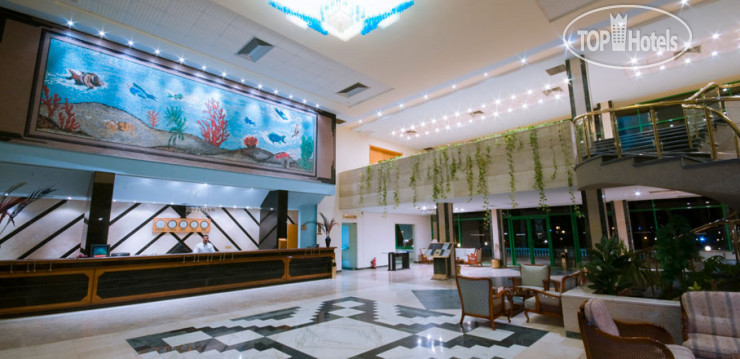 Новые добавленные фото туристов в Nuweiba Club Resort 4*