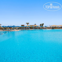 2 открытых бассейна для взрослых в Pickalbatros White Beach Resort - Hurghada 5*