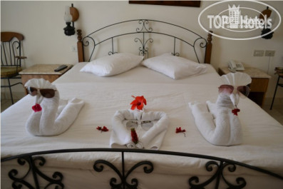 Jewels Sahara Boutique Resort 4* - Фото отеля