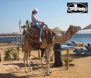 Zahabia Hotel & Beach Resort 4* - Фото отеля