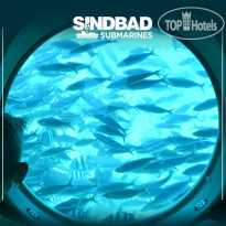 Sindbad Club Sindbad Submarine