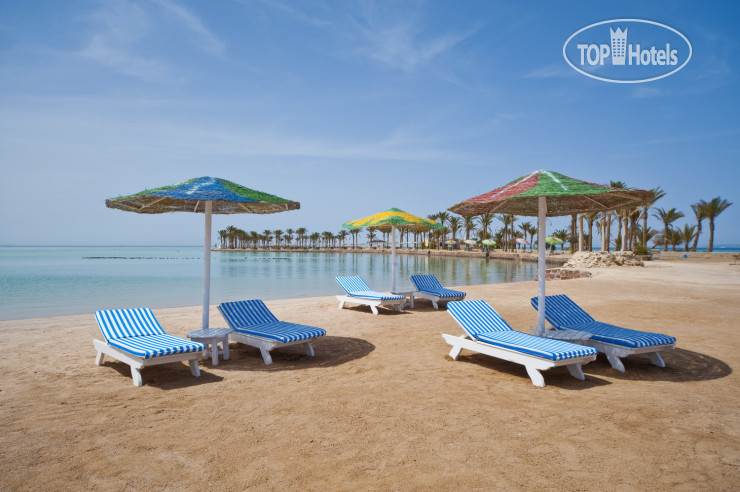 Новые добавленные фото туристов в Festival Shedwan Golden Beach Resort (закрыт) 3*