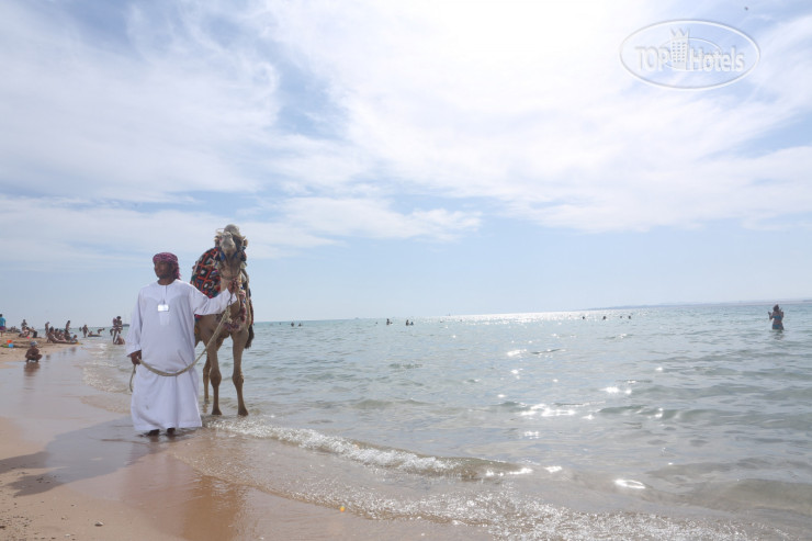 Пляж в Pyramisa Beach Resort Sahl Hasheesh 5*