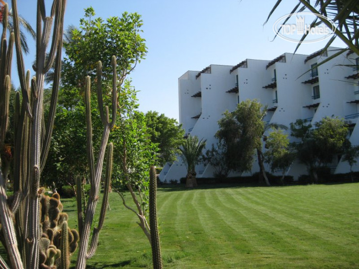 Новые добавленные фото туристов в Shams Safaga Resort 4*