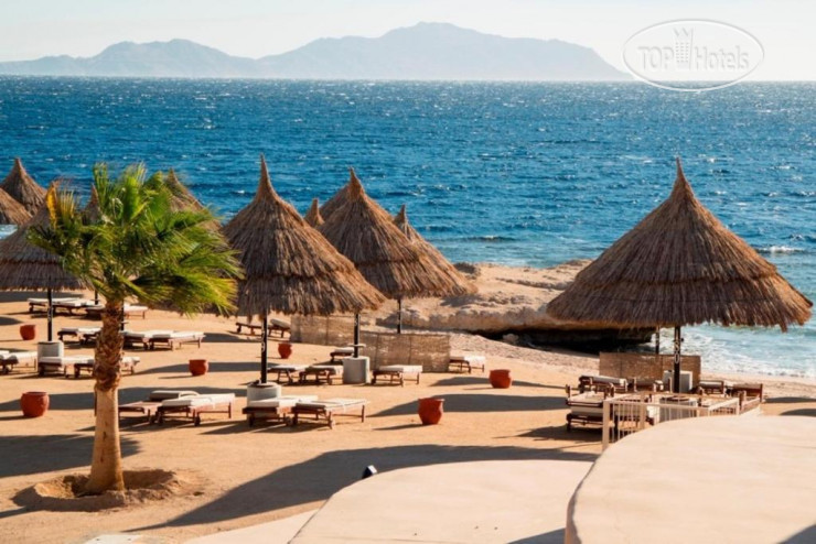 Новые добавленные фото туристов в Sheraton Sharm Hotel, Resort, Villas & Spa 5*