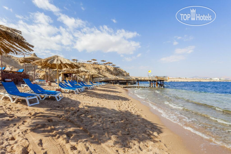Новые добавленные фото туристов в Club Reef Resort 4*