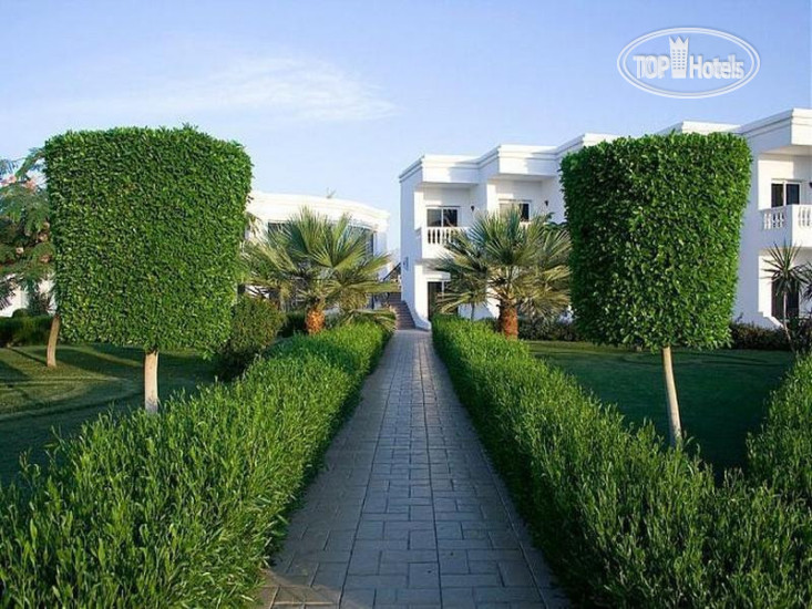Новые добавленные фото туристов в Royal Paradise Resort 4*