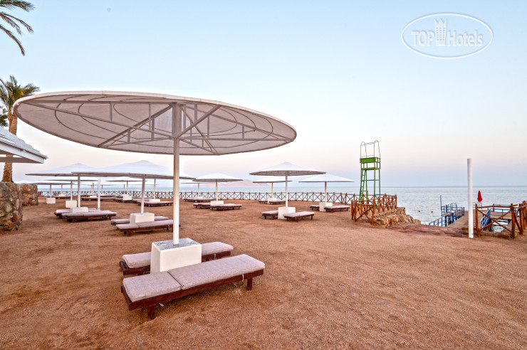 Пляж в INVIDIA Coral Beach Tiran 4*