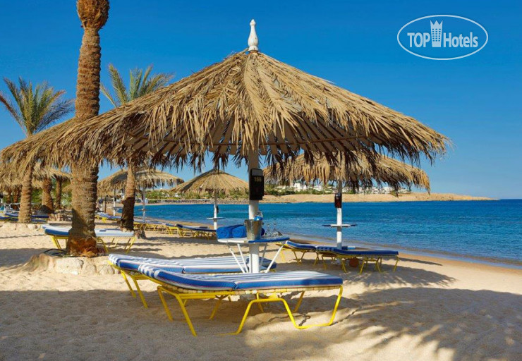 Новые добавленные фото туристов в Sharm Dreams Resort 5*