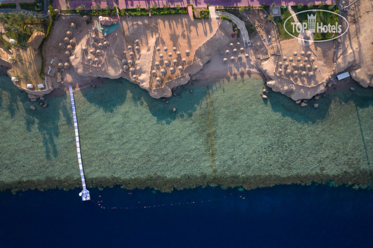 Фотографии отеля  Safir Sharm Waterfalls Resort 5*