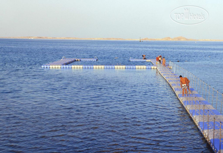 Пляж в Ivy Cyrene Sharm Resort Adults Friendly Plus 13 4*