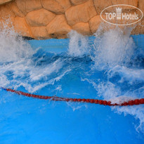 Бассейн с волной  в Parrotel Lagoon Waterpark Resort 5*