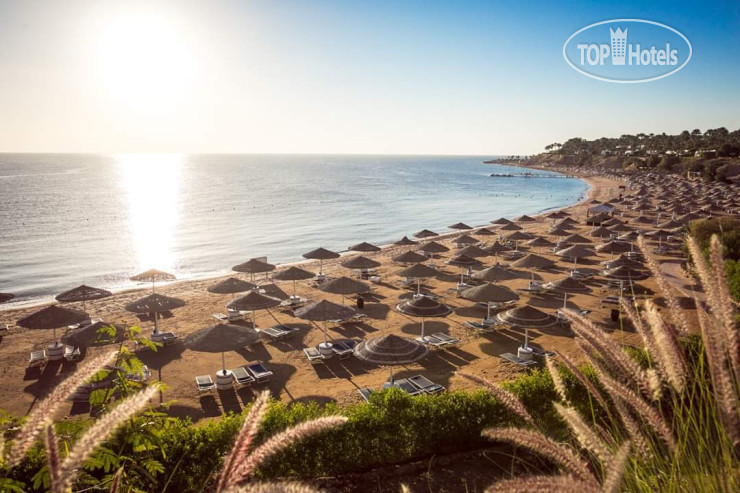 Пляж в Domina Coral Bay Bellavista 5*