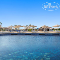 Main Pool в Pickalbatros Luxury Suites 5*