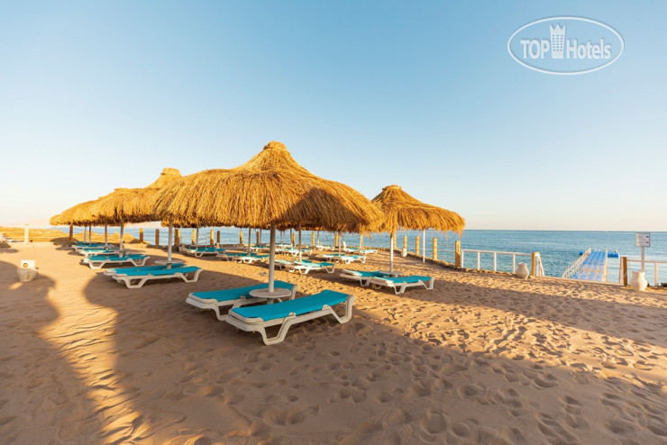 Новые добавленные фото туристов в SUNRISE Remal Resort 4*