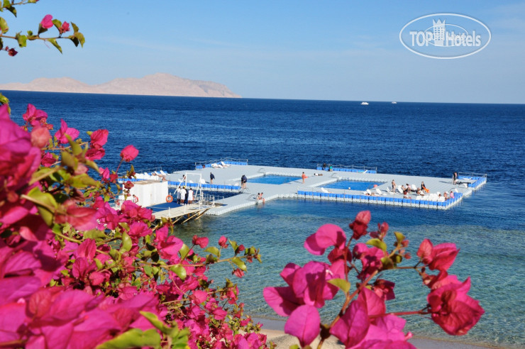 Пляж в Domina Coral Bay Sultan 5*