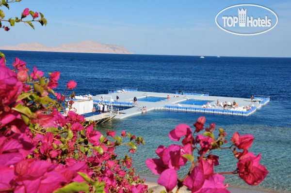 Пляж в Domina Coral Bay Prestige 5*