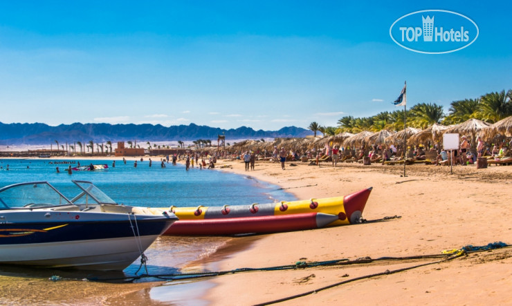 Новые добавленные фото туристов в Caribbean World Soma Bay 5*