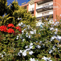 Alex Resort & Spa Hotel 4* - Фото отеля