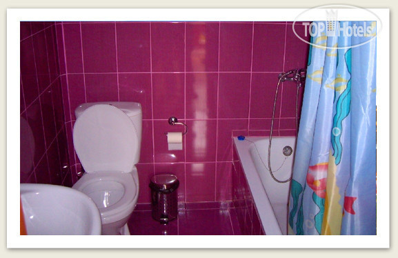Новые добавленные фото туристов в Hotel Sharmat (Отель Шармат) 3*
