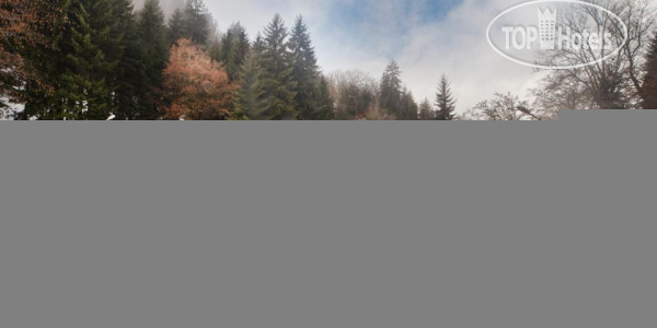 Crowne Plaza Borjomi 5* Горячие ванны - Фото отеля