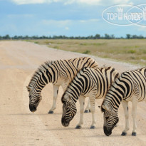 Etosha Village 