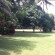 Kololi Beach Resort 