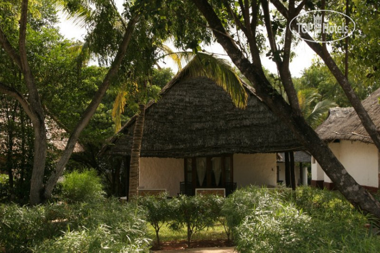 Новые добавленные фото туристов в Karafuu Beach Resort 5*