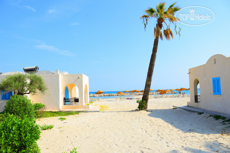 Новые добавленные фото туристов в Royal Lido Resort & Spa 4*