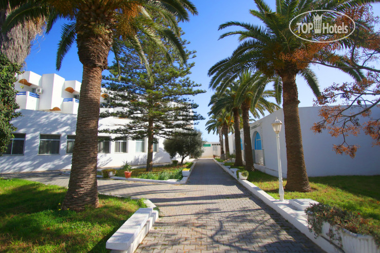 Новые добавленные фото туристов в Novostar Budget Pyramides Club & Spa 3*