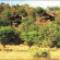 Фото Tshukudu Bush Lodge