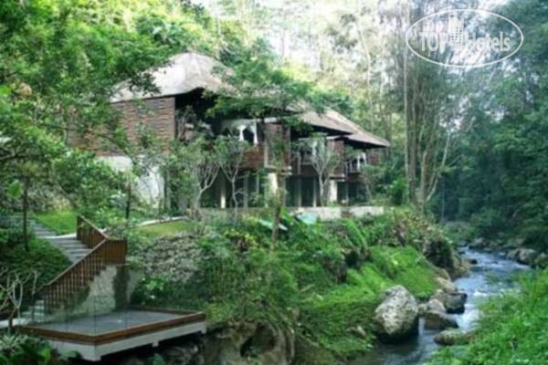 Новые добавленные фото туристов в Maya Ubud Resort 5*