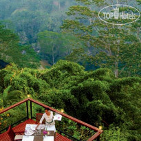 Kupu-Kupu Barong Villas 5* - Фото отеля