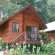 Фото Dolphin Bay Resort & Peleliu Divers