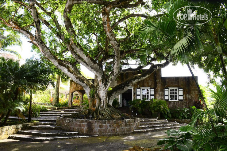Новые добавленные фото туристов в Montpelier Plantation & Beach 5*