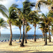 Divi Carina Bay All Inclusive Beach Resort 